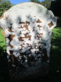 image of grave number 672223